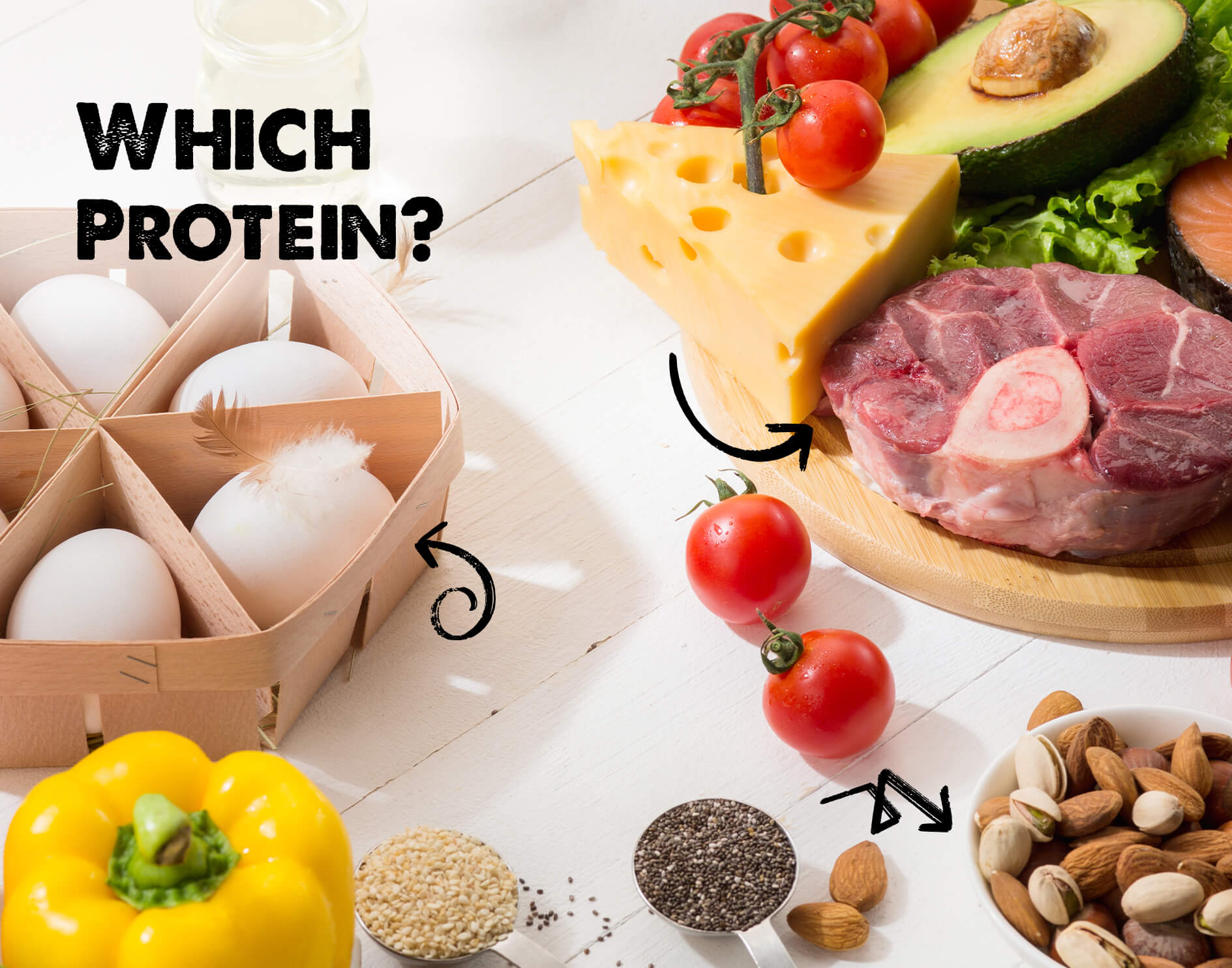 پروتئین حیوانی یا پروتئین گیاهی؟